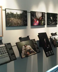 Algunes de les fotografies exposades