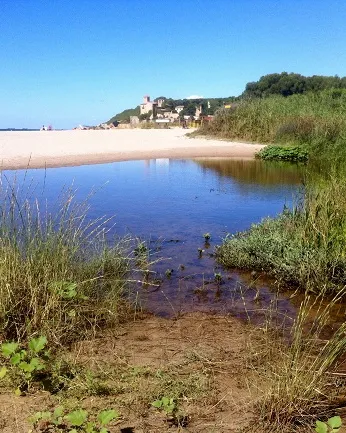 Descoberta de l'entorn natural de Tamarit amb l'Associació Mediambiental La Sínia (imatge: riugaia.cat)