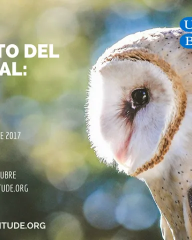 Sessió informativa del postgrau sobre sensibilització i coneixement del món animal (imatge: animallatitude.org)