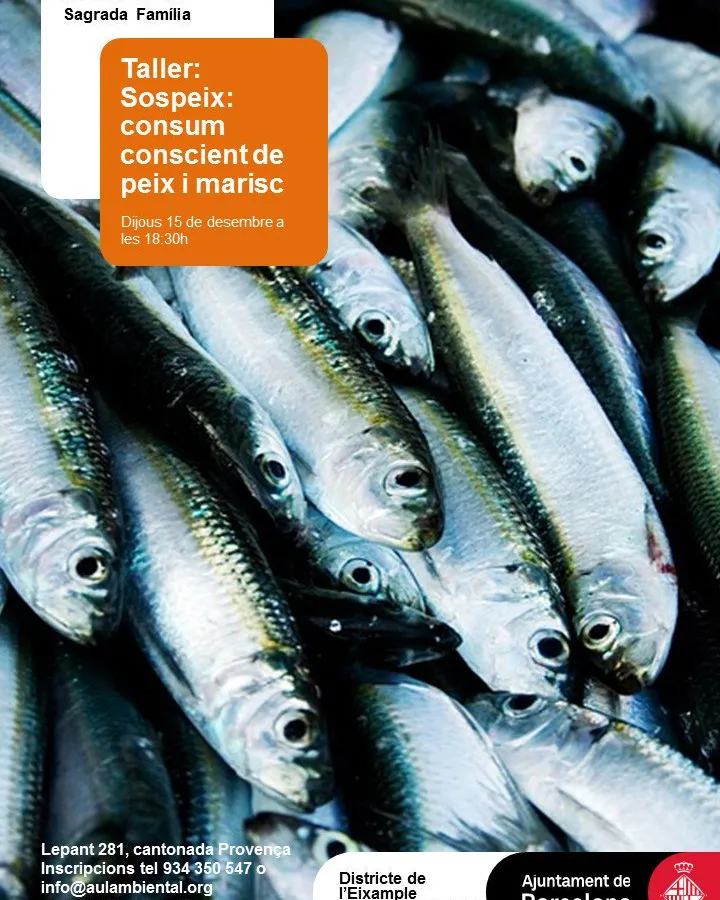 Taller sobre consum sostenible de peix amb SOS Peix (imatge: aulaambiental.org)