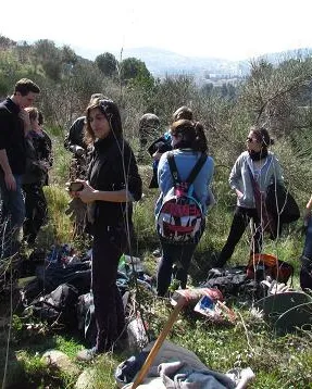 Jornada de voluntariat ambiental a Collserola amb Depana (imatge: depana.org) 