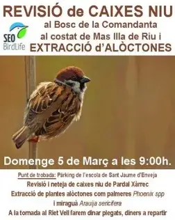 Jornada de voluntariat ambiental a Riet Vell el 5 de març (imatge: Reserva de Riet Vell )