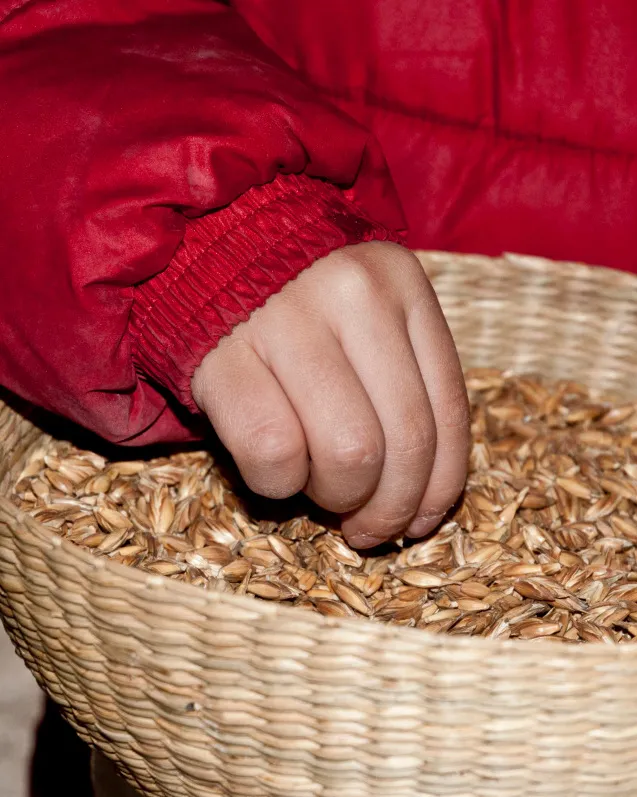 L’Aresta és un projecte agroecològic, cooperatiu i autogestionari. Font: Cooperativa l'Aresta