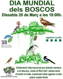 Dia mundial dels Boscos a Riet Vell (imatge: Riet vell) 