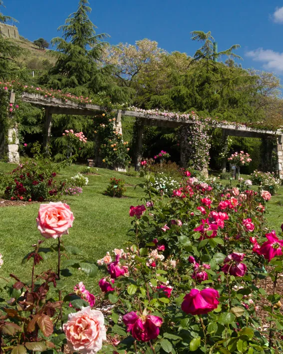 Roserar del Parc de Cervantes
