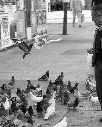 Gent gran_Big Max Power (BMP)_Flickr