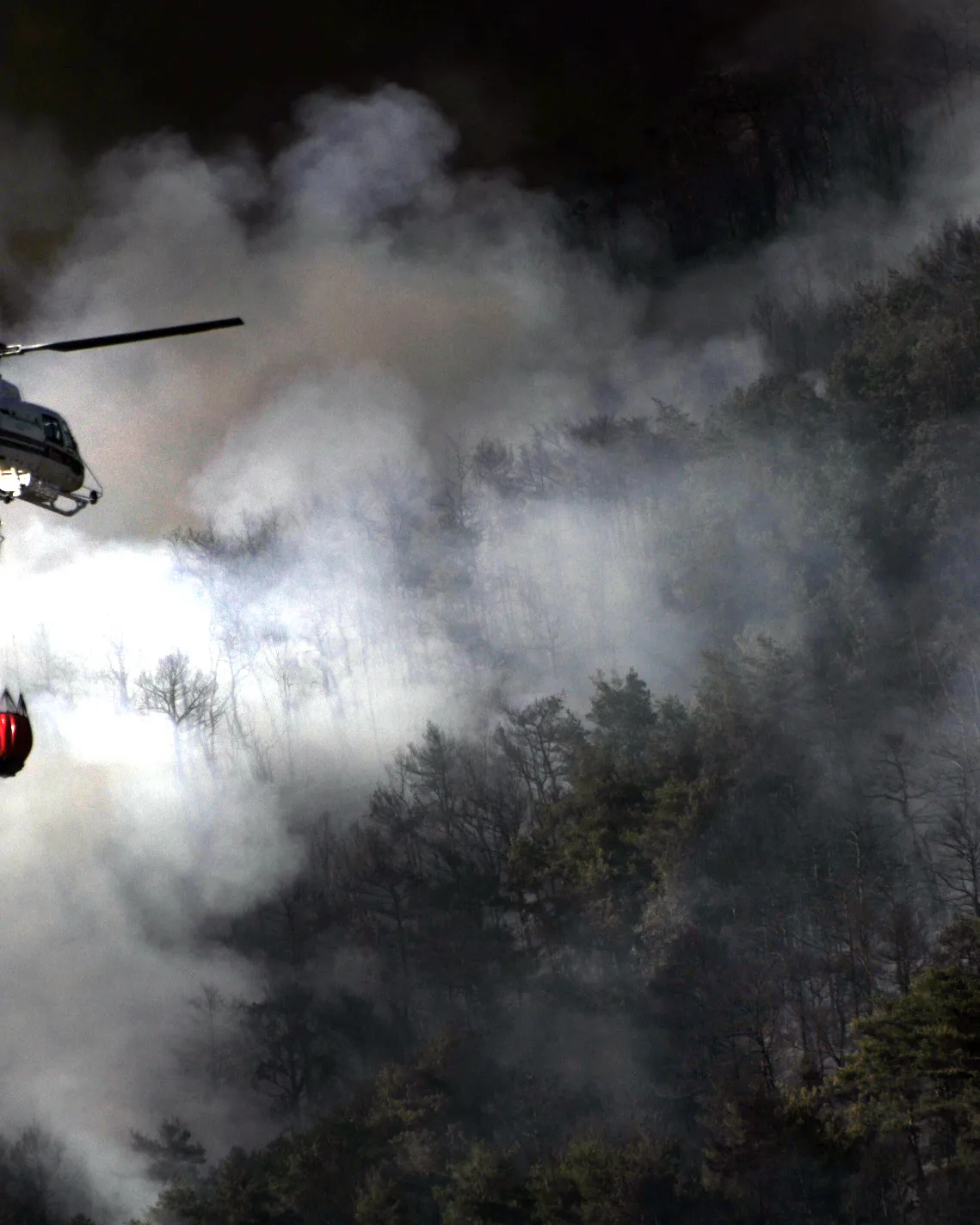 Incendi forestal_Ana de la Cava_Flickr