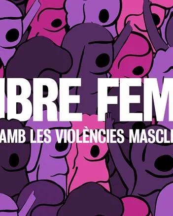 Novembre Feminista és la plataforma que organitza l'assemblea. Font: Novembre Feminista