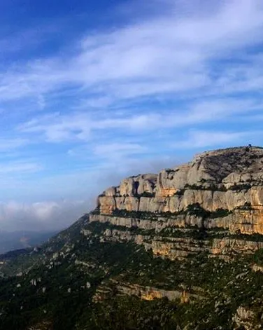 Sortida ornitológica a la Serra de Montsant 