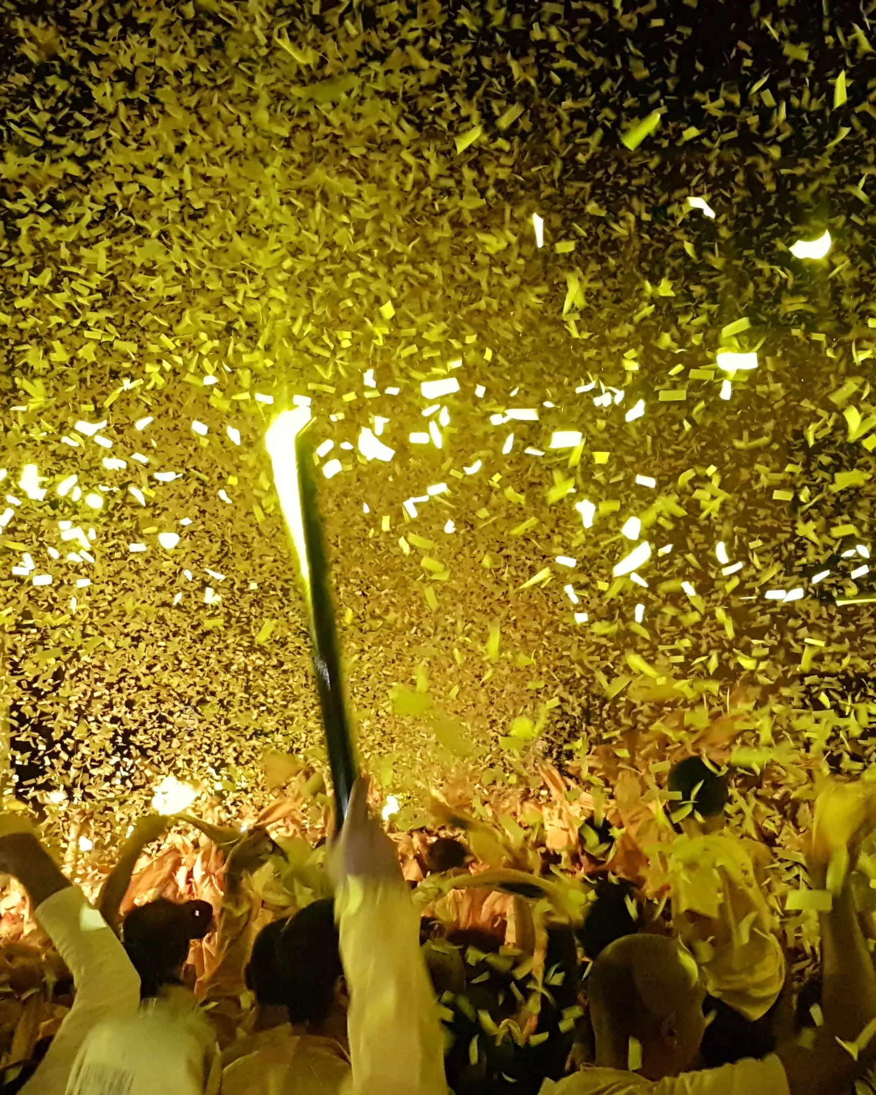 Festa de la Fil·loxera de Sant Sadurní d'Anoia