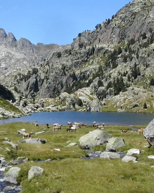 Parc Nacional d'Aigüestortes. Font: viquipèdia