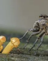Imatge de la 29 edició del concurs de fotografia de la ANG
