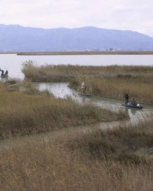 Parc Natural del Delta de l'Ebre. Font: Viquipèdia
