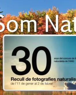 La mostra "30 anys de fotografia naturalista de l'ANG" commemora el final del concurs