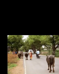 Una de les imatges premiades l'any passat / Font: UPC