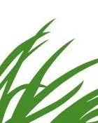 Logotip de la Fundació Biodiversidad