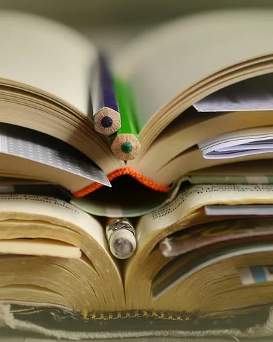 Llibres. Font: Pixabay