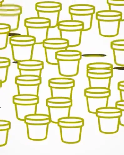 Germinador Social 2018