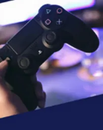 Videojocs i Internet en femení