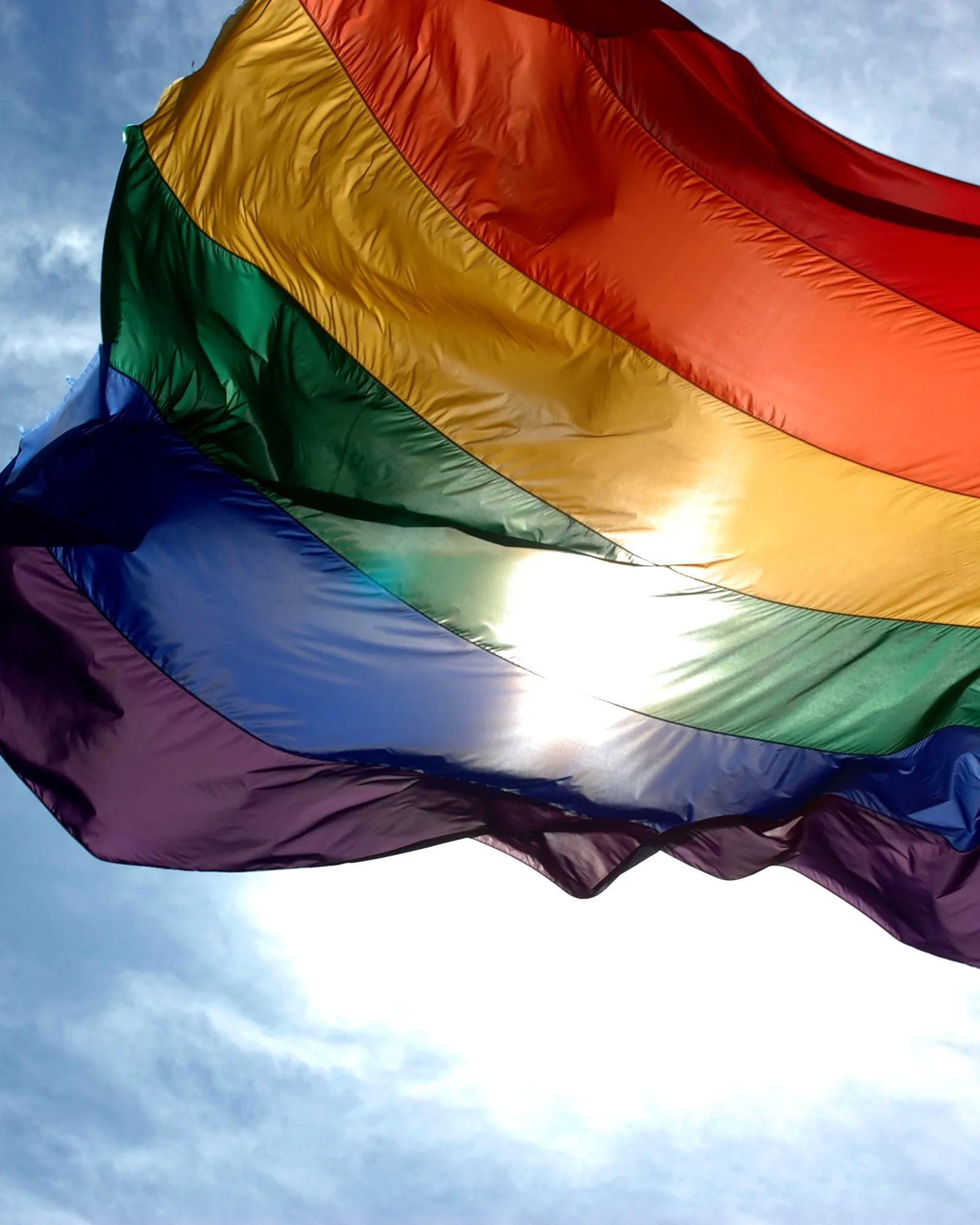 La bandera homosexual i dels gèneres no cis 