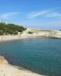 Sortida amb el Gepec per conèixer els valors naturals de la platja de Canyadell