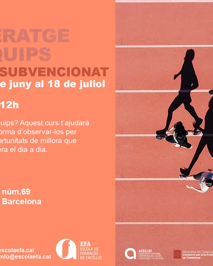 Curs Lideratge Equips