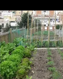 Presentació de l'Estratègia de Barcelona per a l'agricultura urbana, divendres 5 d'octubre a La Fàbrica del Sol