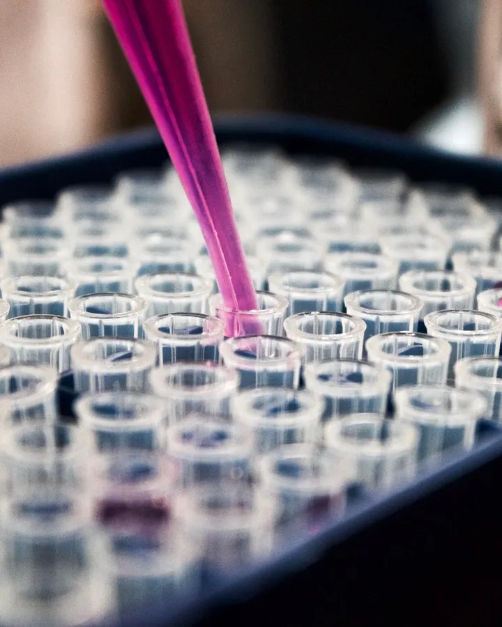 La jornada té lloc el 20 de novembre al recinte modernista de Sant Pau. 