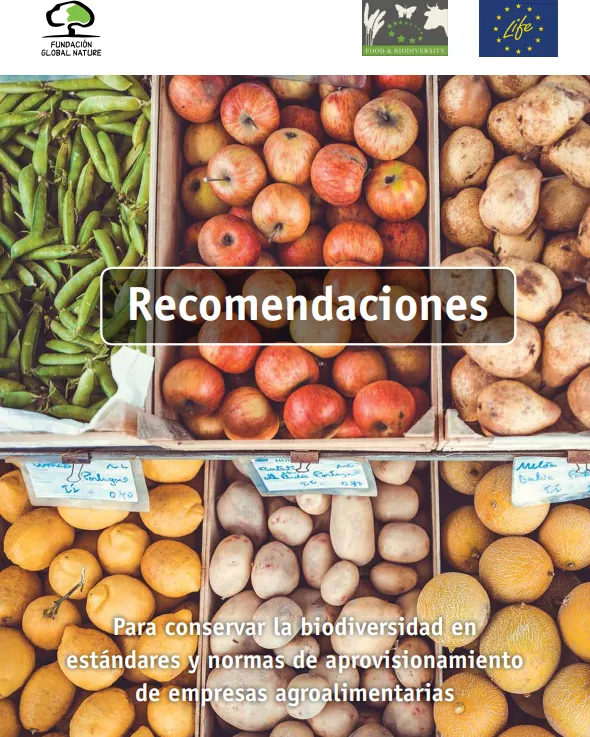 recomendaciones.png