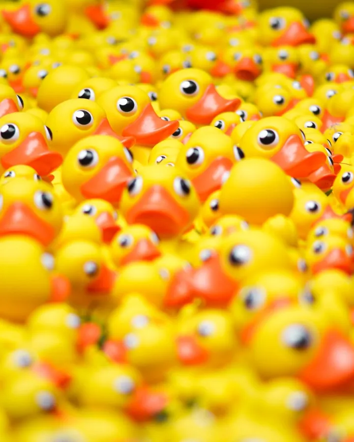 L'activitat consisteix en pescar ànecs de goma per una causa solidària. Font: Unsplash.