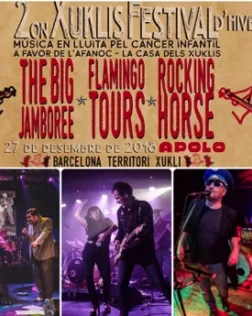 Rock pels Xuclis a favor d'AFANOC