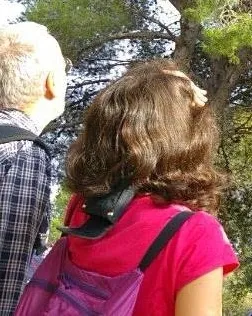 Sortida ornitològica al Montseny amb l'ICO