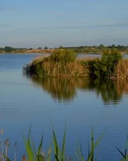 Estany d'Ivars i Vila-sana