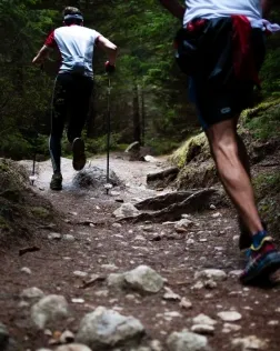 L’objectiu de la marxa és recaptar fons per La Marató de TV3. Font: Unsplash.