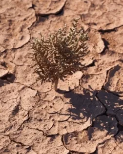 El director del documental és Jordi Oriola Folch. Font: Unsplash.