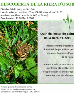Descoberta de la riera d'Osor + especial amfibis 