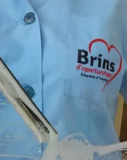 Brins d'Oportunitats Empresa d'Inserció