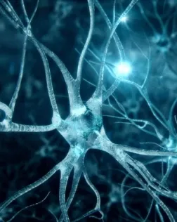 L'ELA, una de les pitjors malalties neurodegeneratives