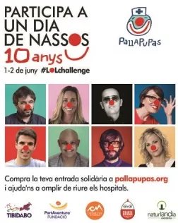 L’objectiu de la festa és sensibilitzar a la societat sobre la importància d’aquesta tasca i captar fons per la causa. Font: Pallapupas.