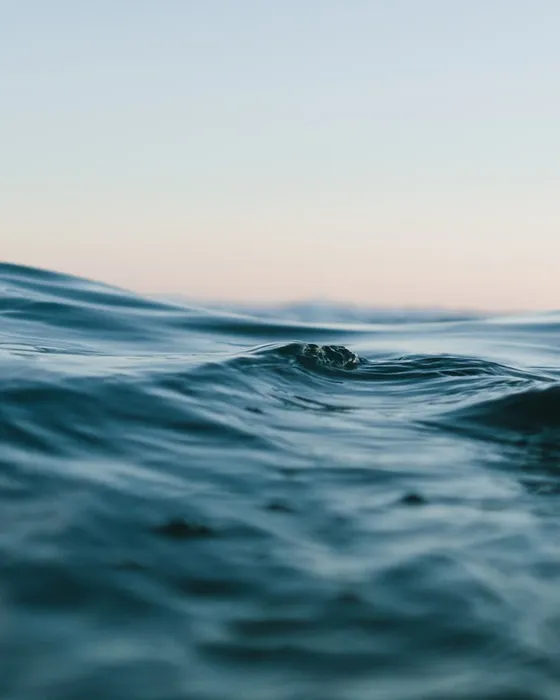 Les morts i naufragis de migrants en els darrers anys s'ha multiplicat al mediterrani. Font: Unsplash.