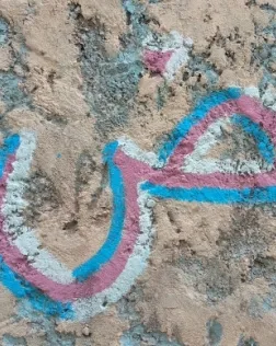 Curs món àrab