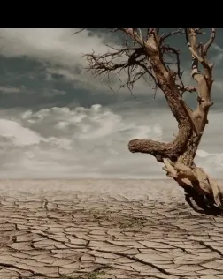 L’objectiu de la sessió és crear consciència sobre els efectes de l’escalfament del sistema climàtic. Font: Fundesplai.