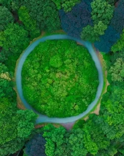 La jornada s’emmarca en el cicle ‘Diàlegs i sinergies per a la transició circular en l’horitzó 2030’. Font: Unsplash.