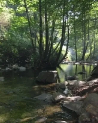 Subvencions per a projectes dins del Parc Natural i Reserva de la Biosfera del Montseny 2020