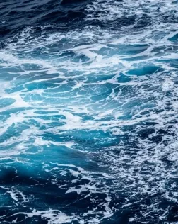 L’objectiu és conscienciar sobre la situació de les milers de persones que intenten creuar en les pitjors condicions les fronteres del món. Font: Unsplash.