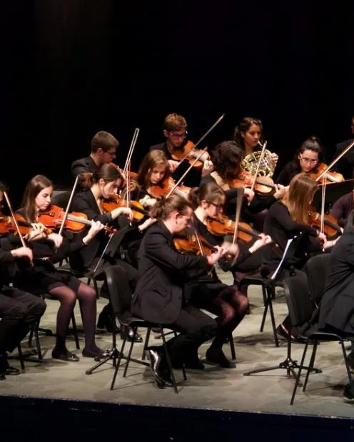 Subvencions per a les activitats de les orquestres prioritàries per a la temporada 2019-2020