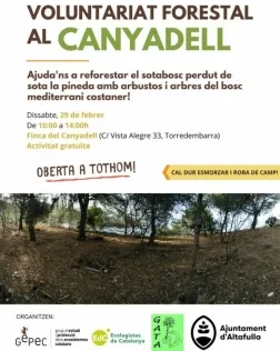 Voluntariat Forestal al Canyadell
