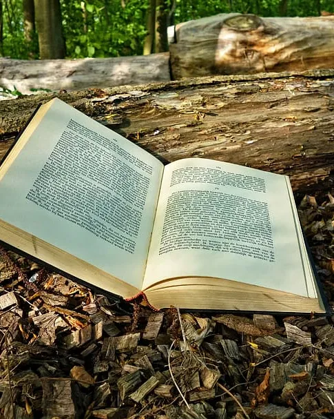 Subvencions per a la promoció d'activitats literàries 2020 