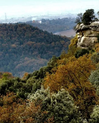 Subvencions per a les entitats culturals a l'àmbit de l'Espai Guilleries - Savassona 2020