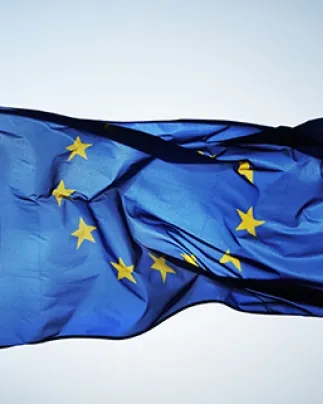Subvencions per a accions de comunicació i activitats divulgatives sobre la Unió Europea 2020